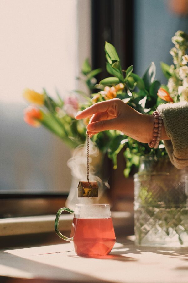 Infusiones